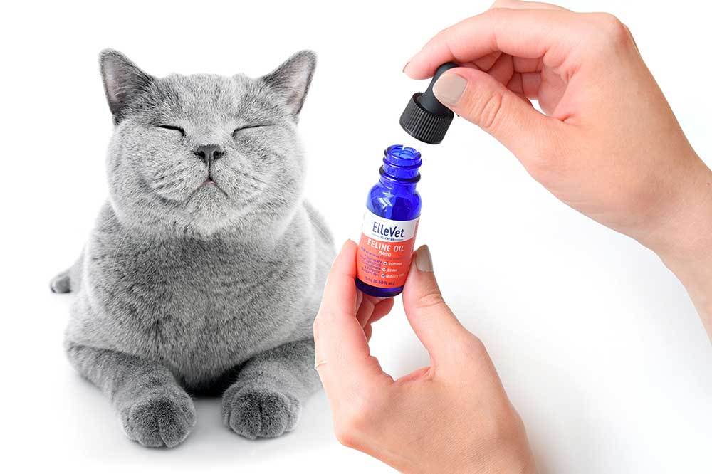 cat, feline, cat oil, feline oil, dropper bottle