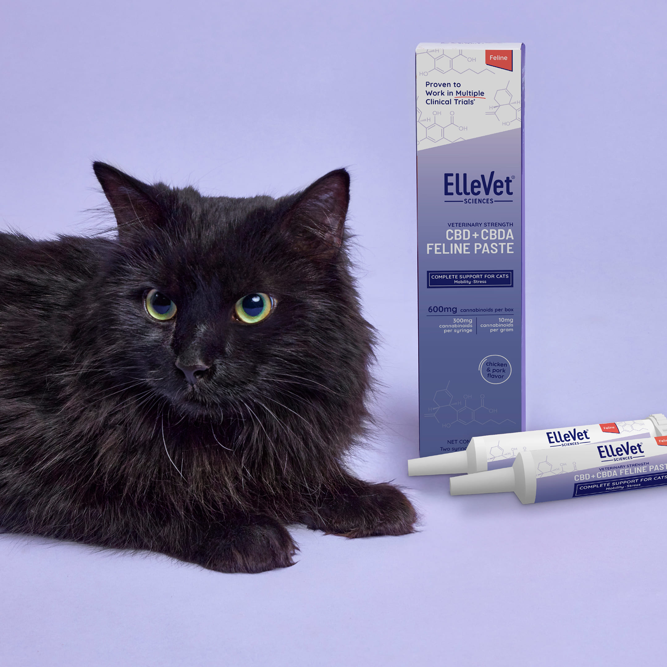cat, pet product, CBD paste, feline supplement, Ellevet
