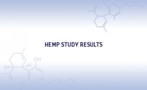 Hemp Study: Promising Results from Cornell Vet School