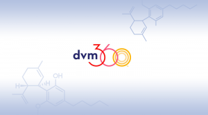DVM360 Talks to Dr. Joe Wakshlag on ElleVet’s Clinical Trial at Cornell
