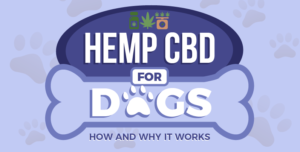 Hemp CBD for Dogs: How and Why It Works