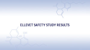 Results From Our Groundbreaking Safety Study on Dogs & Cats