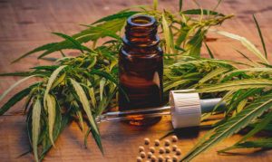 CBD is Everywhere, But is it Legal?