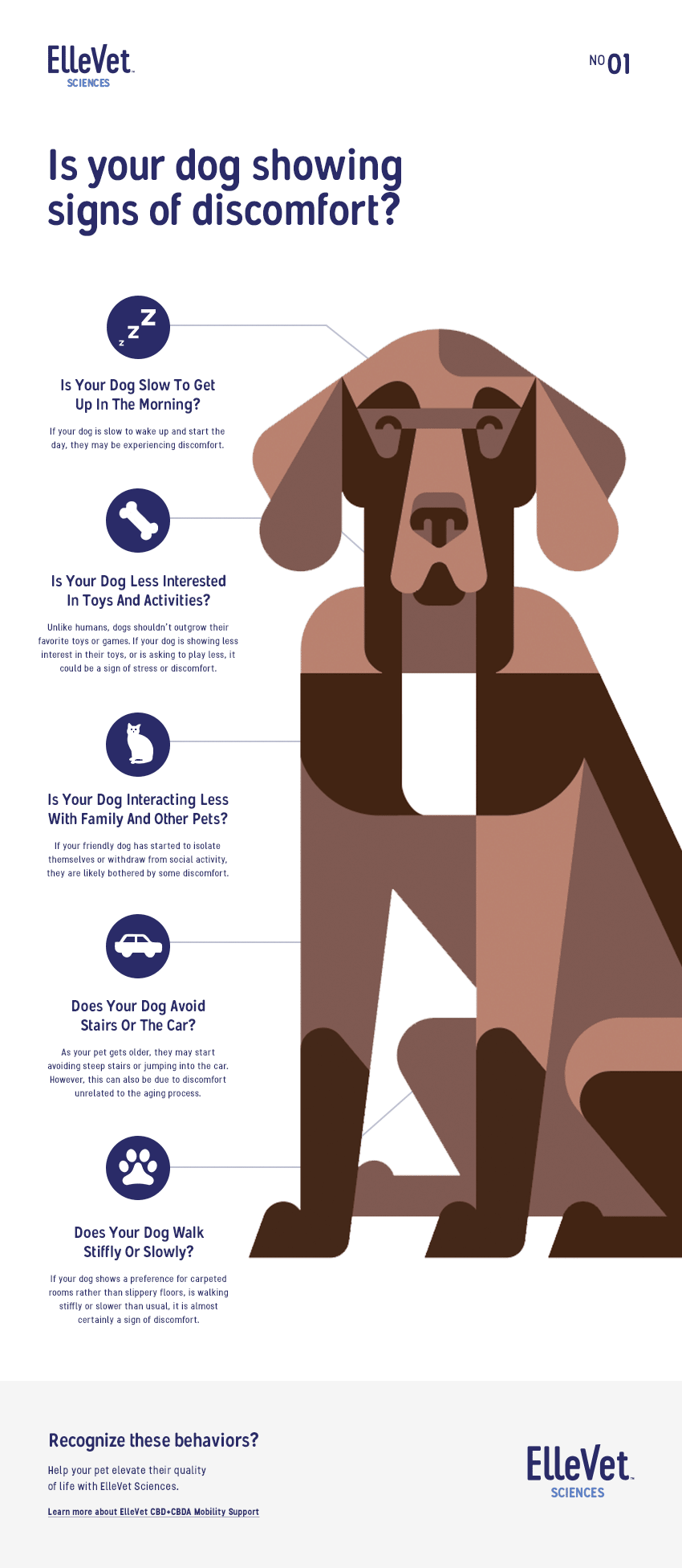 Infographic Recognizing Signs of Discomfort in Your Dog