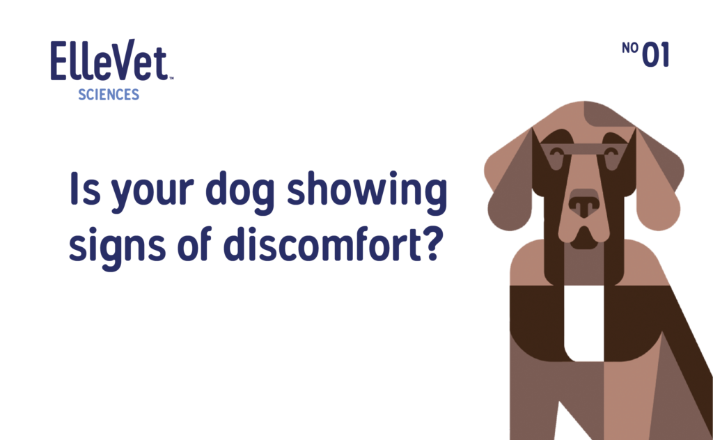 Is your dog showing signs of discomfort?