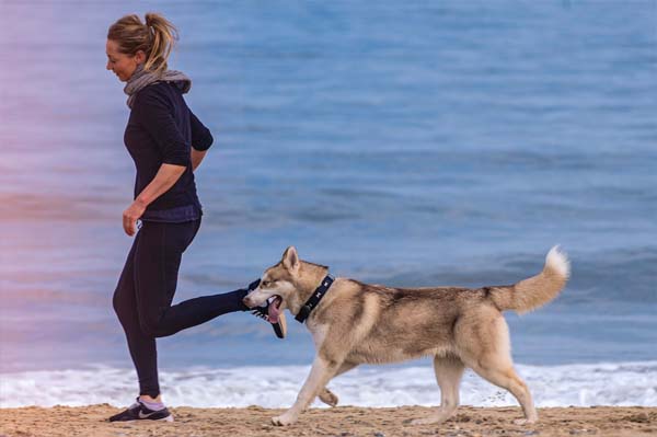 Woman runs with her active dog on the beach
