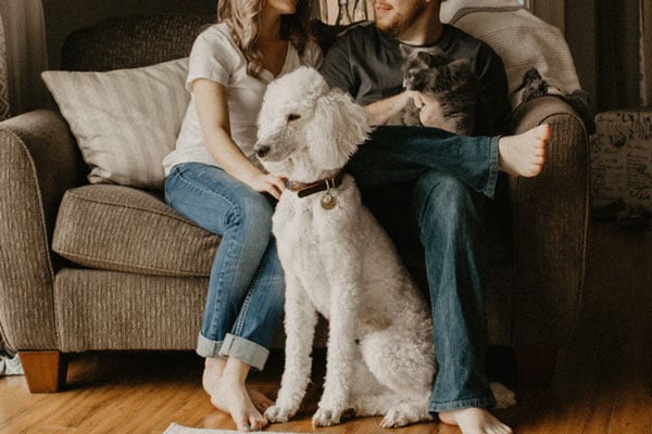 A man and woman cuddle on the couch with their dog and cat and discuss pet CBD.