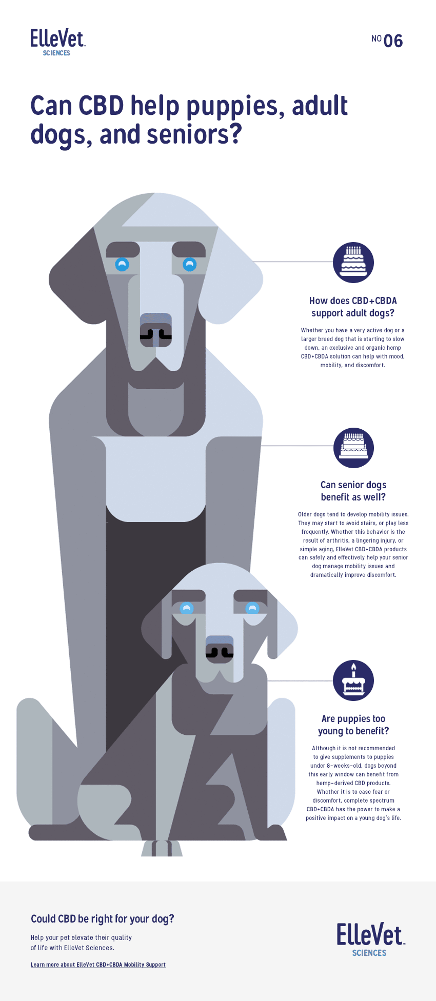 Infographic Dog CBDA