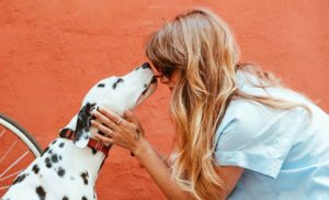 Woman and Dalmatian