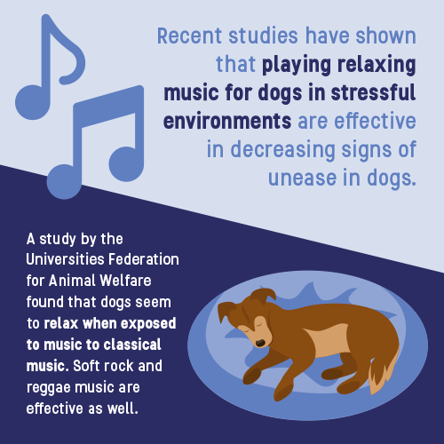 music for pets