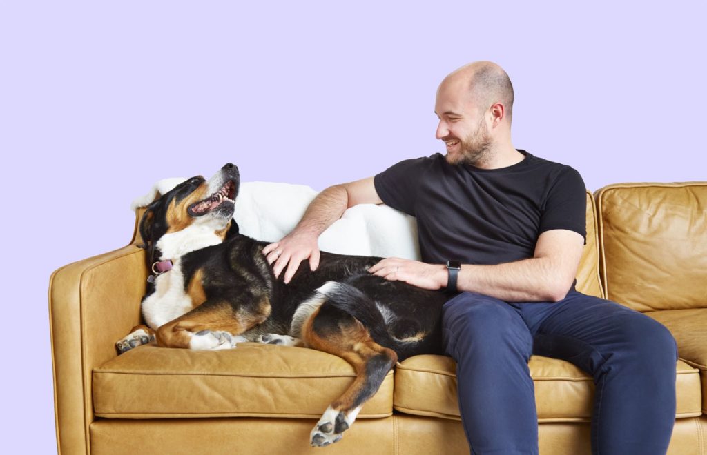 Dog on Couch