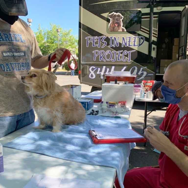 Vet Sitting In Front Of Standing Owner