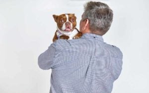 How to prepare for bringing your dog to work