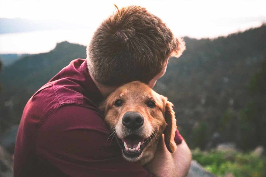 Man comforts stressed Golden Retriever dog