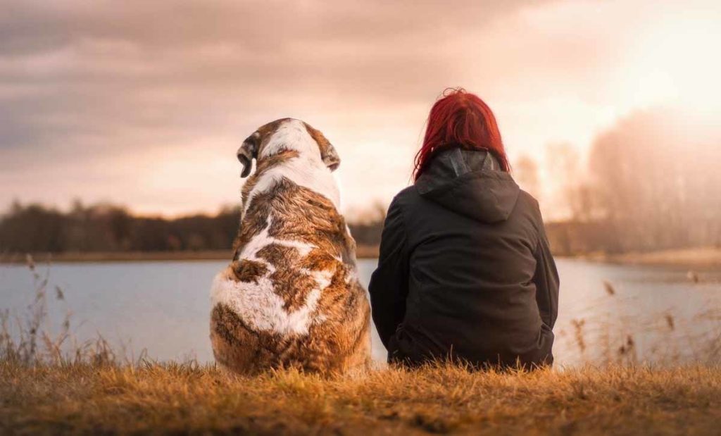 ElleVet Sitting with Dog