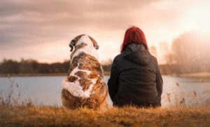 5 Studies that Prove Your Dog Understands You: Empathy in Dogs