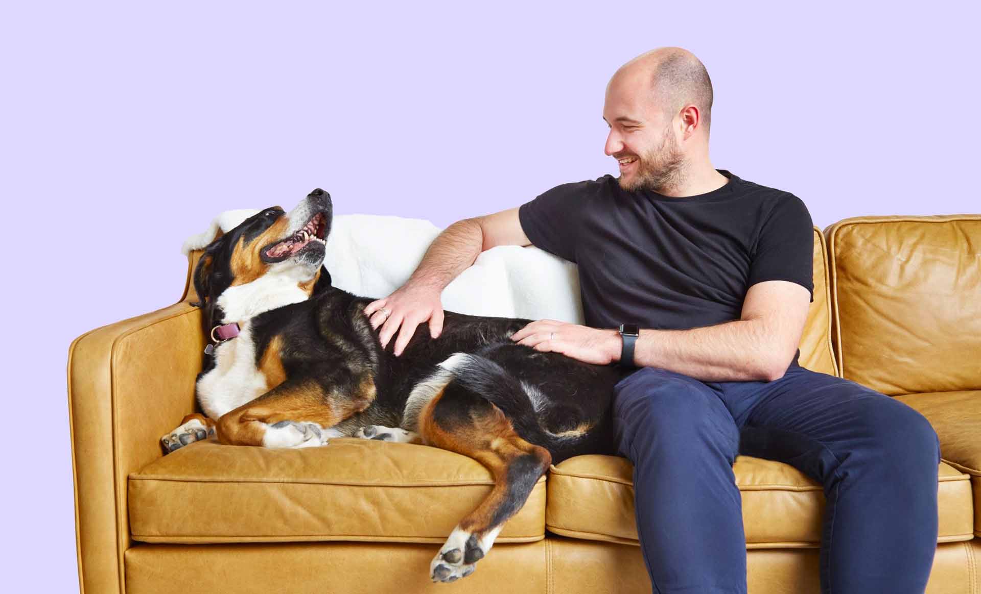 Dog And Guardian On Couch