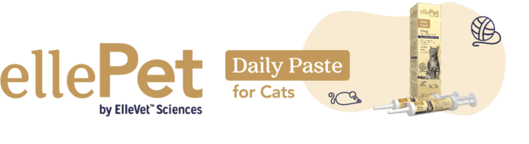 Header Daily Paste For Cats