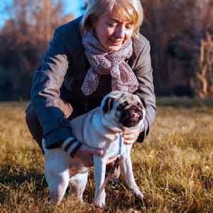 Older woman pets pug in park