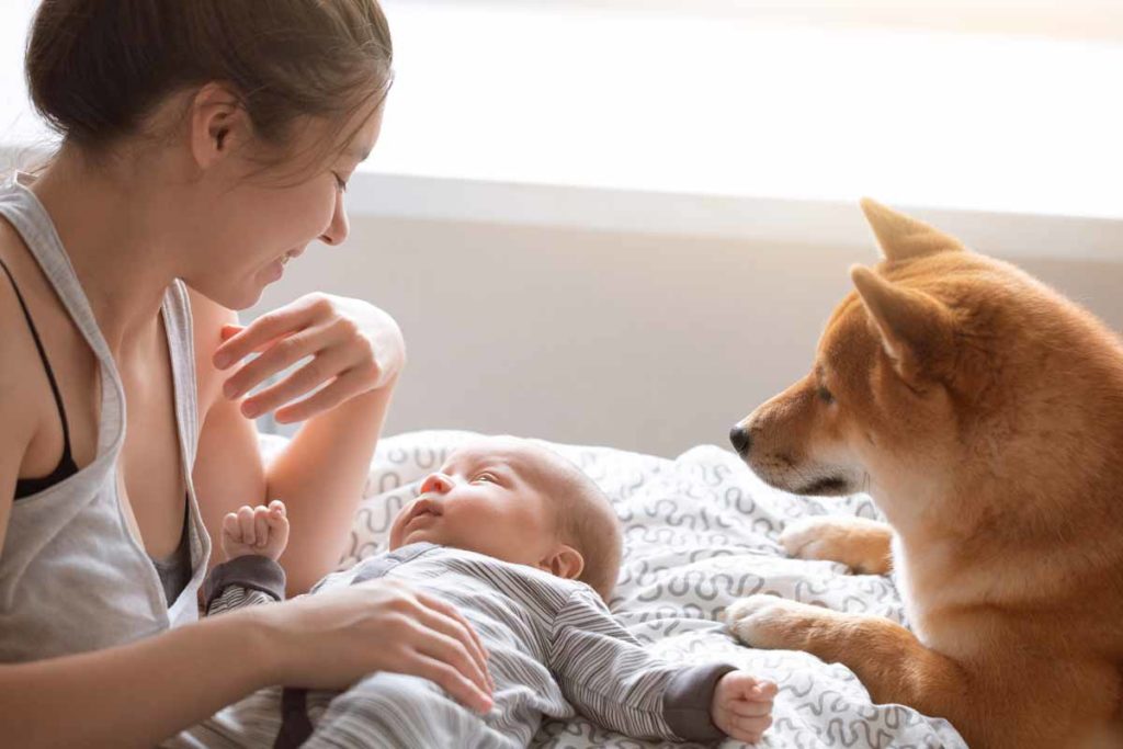 Mom introduces dog to new baby