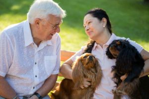 10 best dog breeds for senior owners