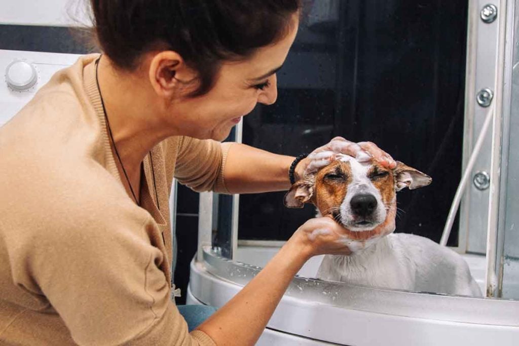 Owner gives dog bath