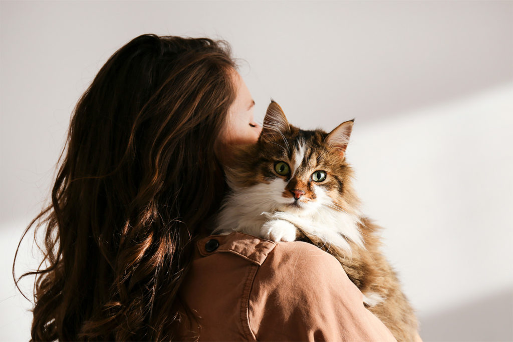 Clingy Felines: Why Does My Cat Follow Me Everywhere?