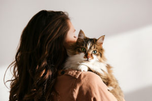 Do cats experience separation stress?