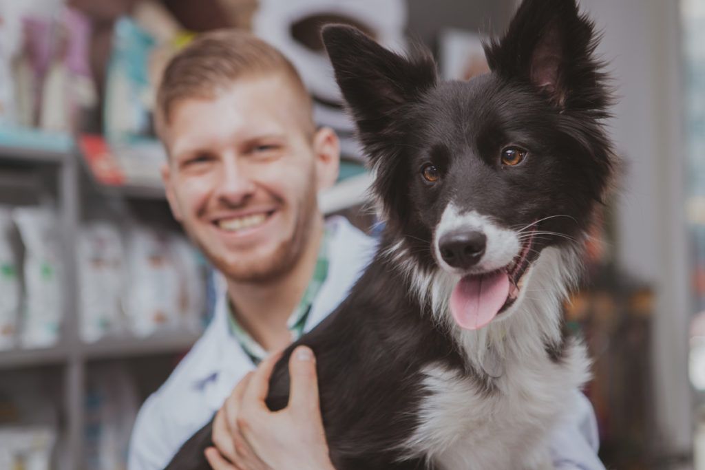 Happy vet and dog