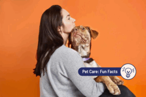 Do dogs have a favorite person?