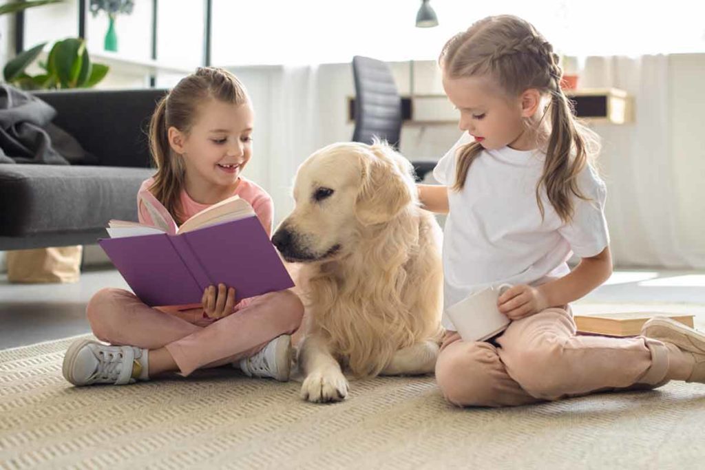 Kids play with Golden Retriever dog