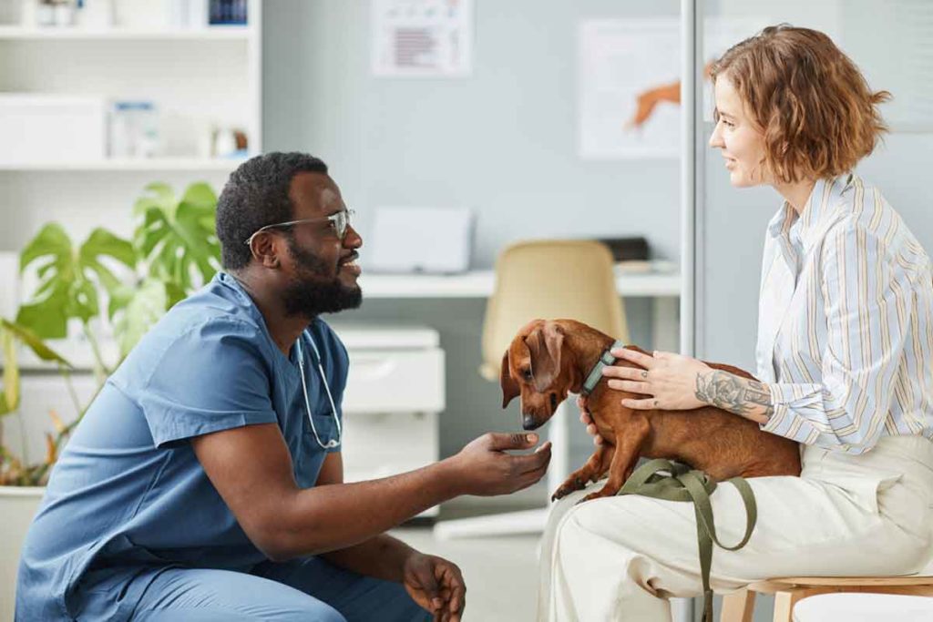 Vet talks to pet owner about pet insurance