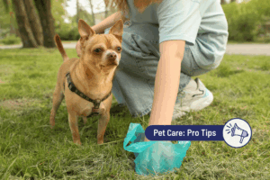 Black Dog Poop: What Your Dog’s Dark Stool Means