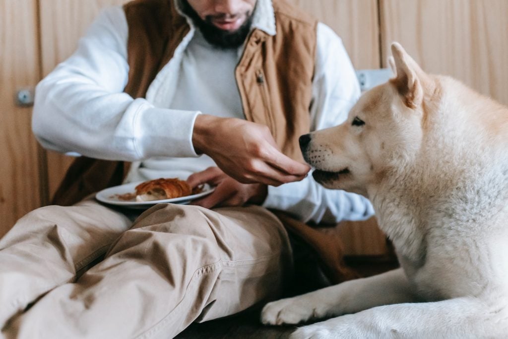 man feeding his dog out of his hand