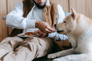 How To Stimulate Appetite In Dogs