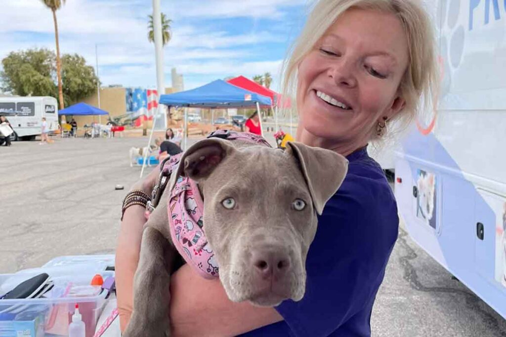 ElleVet Project Founder Amanda Howland holds a dog that is being treated