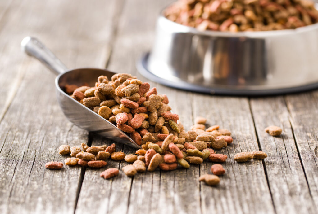 dog food in a bowl and in a scoop