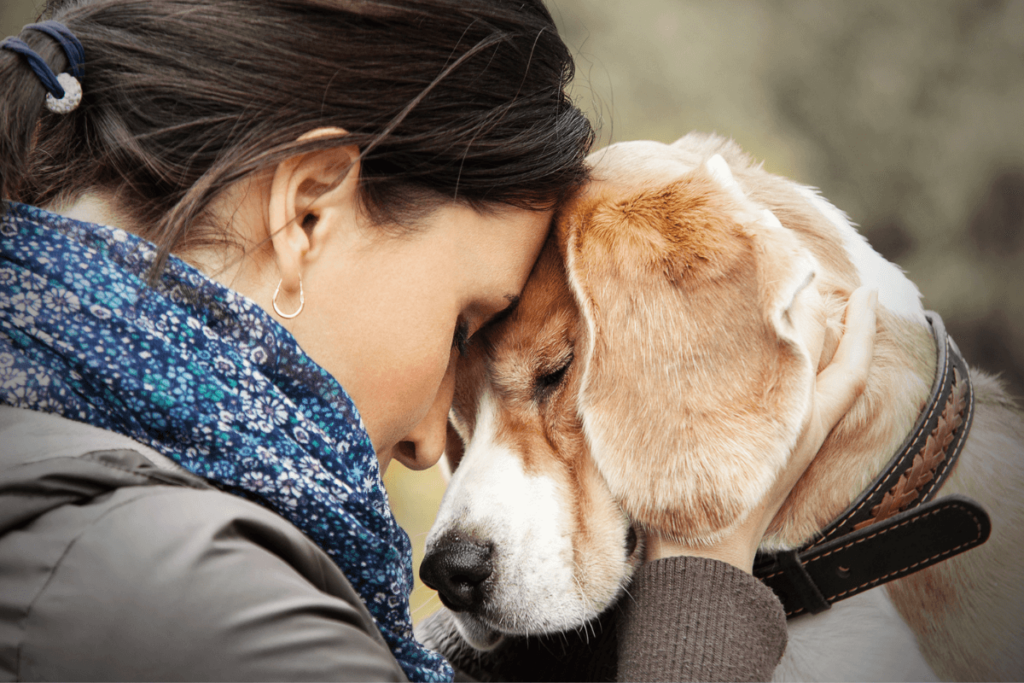 owner holding face of sad grieving dog