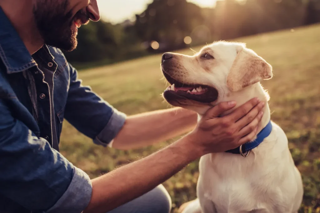 Man petting his dog in a field