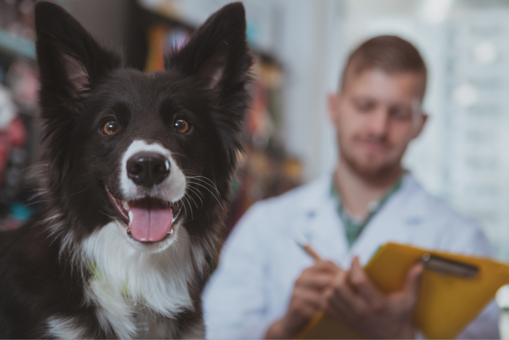 Dog next to veterinarian with a clip board taking notes