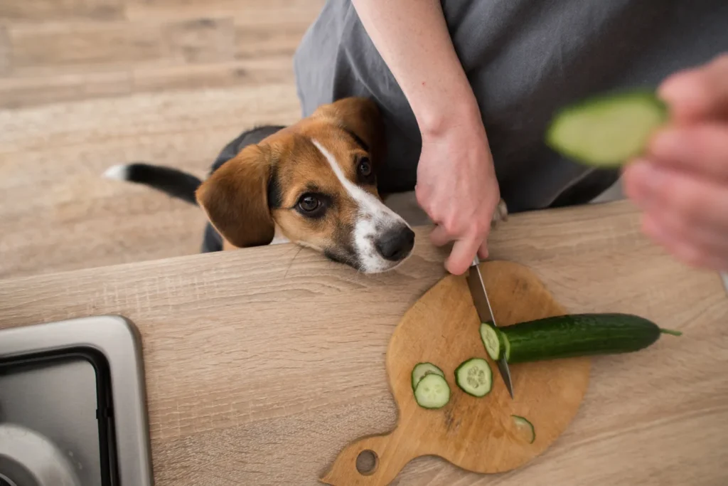 How To Prepare Vegetables for Dogs