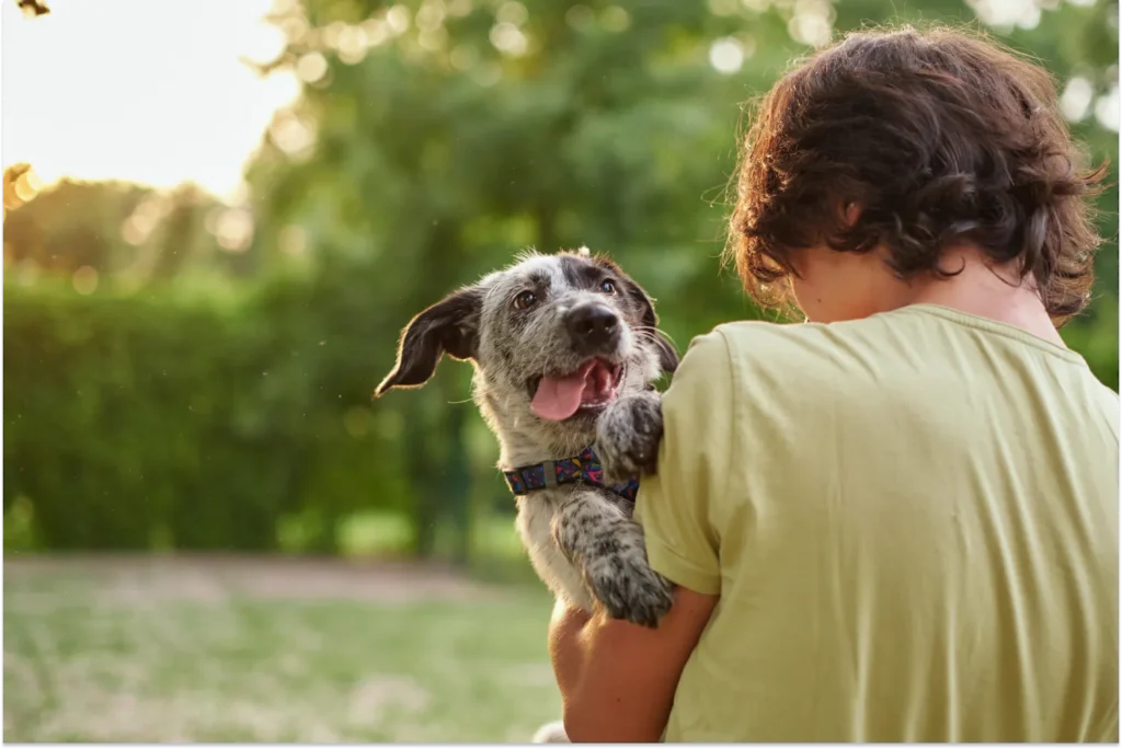 Is It Normal for Puppies To Breathe Fast