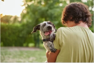 Is It Normal for Puppies To Breathe Fast?