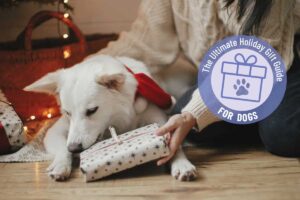 The Ultimate Holiday Gift Guide for Dogs
