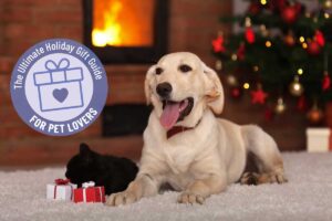 The Ultimate Holiday Gift Guide for Pet Lovers