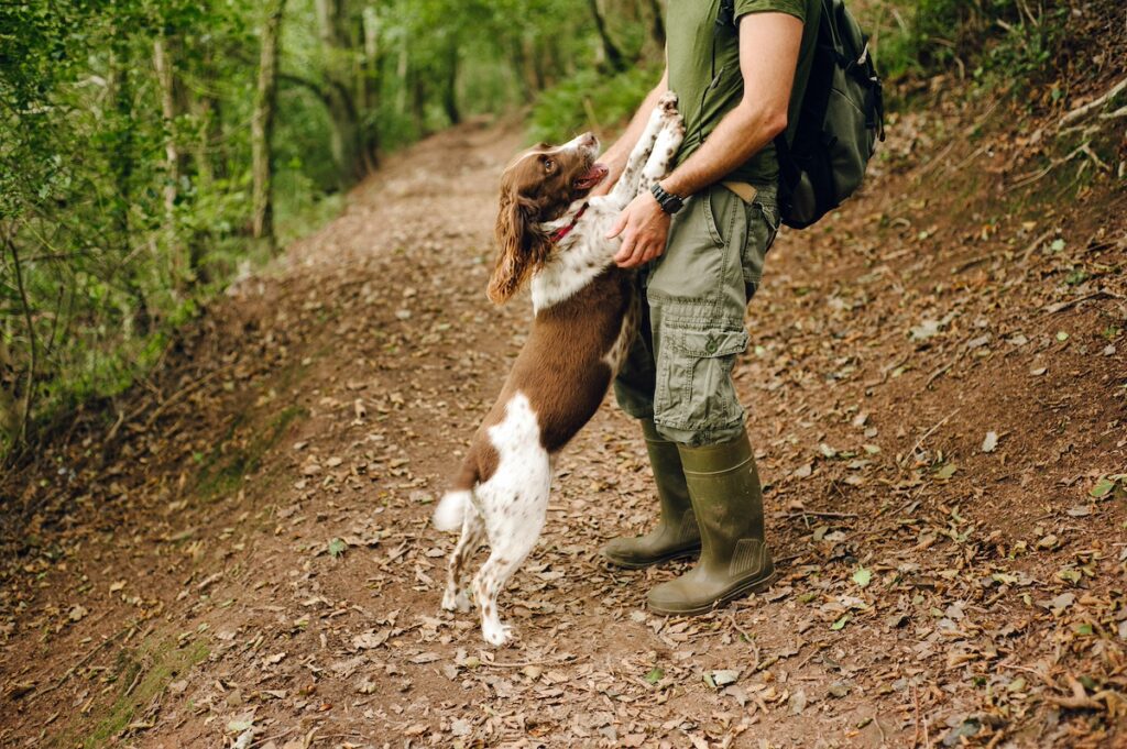 dog jumping up and standing with paws on owner's legs