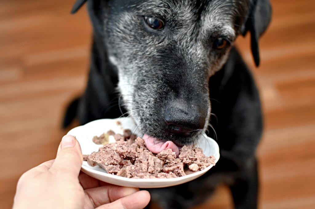 Black dog eating cat food out of small white bowl