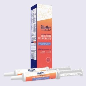 Feline Paste sleeve with two syringes