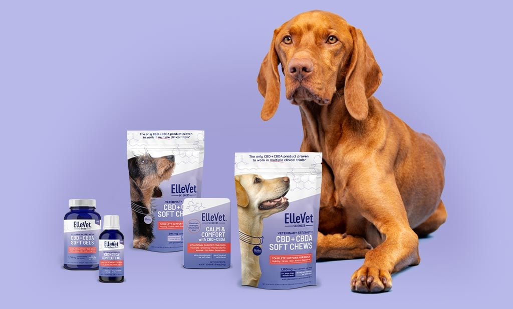 Dog surrounded by ElleVet product line