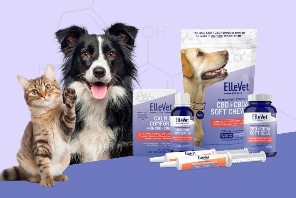 Dog and cat with ellevet sciences CBD products with the new packaging